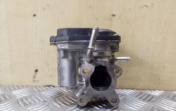 EGR valve
