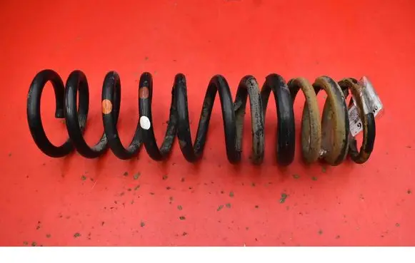Rear coil spring