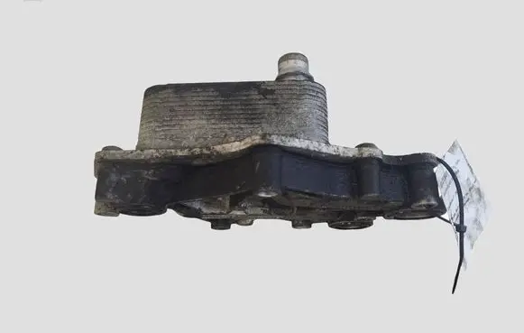 Opel Mokka Engine oil radiator 55599943 281803301