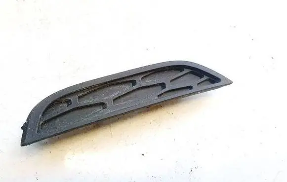 Land Rover Range Rover Evoque L538 Front bumper lower grill BJ3215A299CB