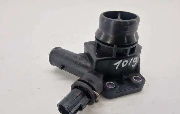 Thermostat/thermostat housing