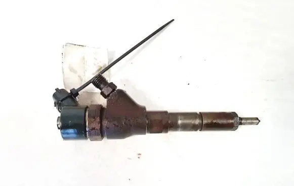 Citroen C5 Fuel injector 0445110076 9653594280