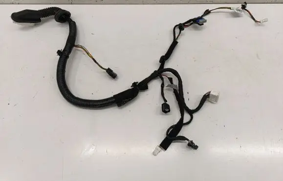 Nissan Juke II F16 Front door wiring loom 241246PA6B