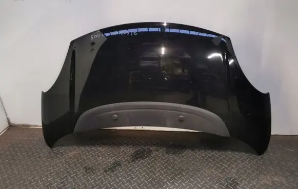 Fiat 500L Engine bonnet/hood