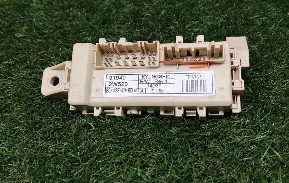 Hyundai Santa Fe Other control units/modules 919402W520