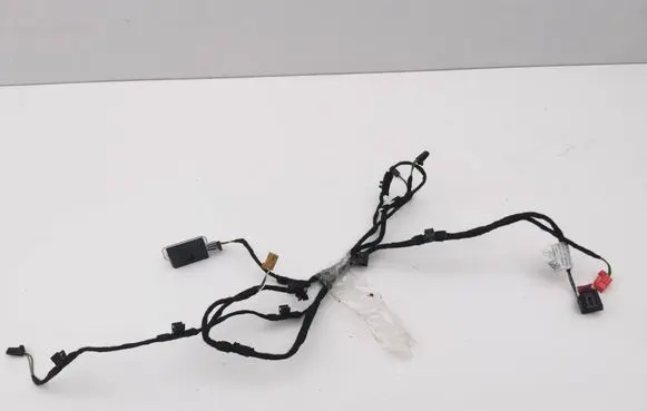 Rear door wiring loom