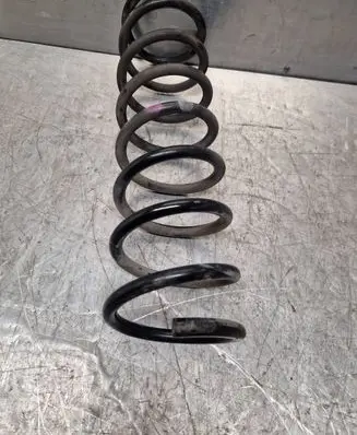 Rear coil spring