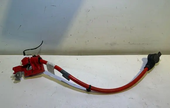 BMW 5 F10 F11 Positive cable (battery) 9217036 10304410 EEZ17Z
