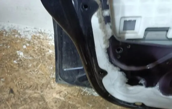Renault Modus Front door