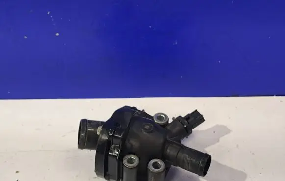 Volvo S60 Thermostat 31319607