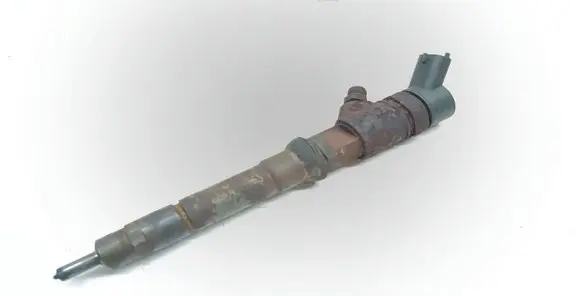 Fiat Ducato Fuel injector 0445110273 504088755