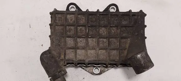 Mercedes-Benz C W202 Engine oil radiator 6061800365 2330420001