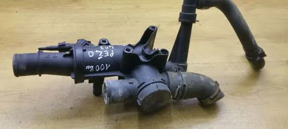Thermostat/thermostat housing