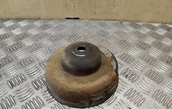 Coil spring mount