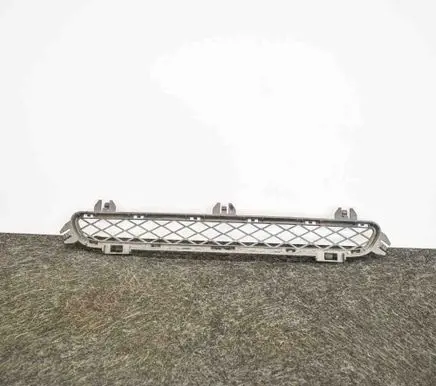 BMW X3 F25 Front grill 7210466