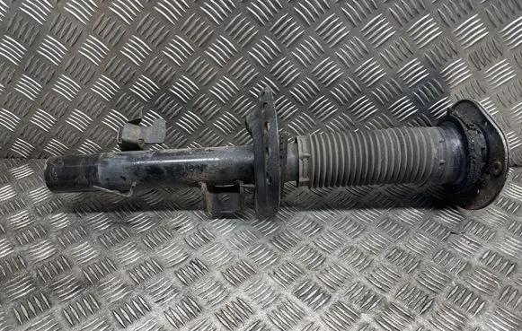 Land Rover Discovery Sport Front shock absorber/damper FK7218K001AC
