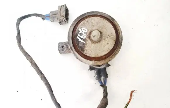 Horn signal