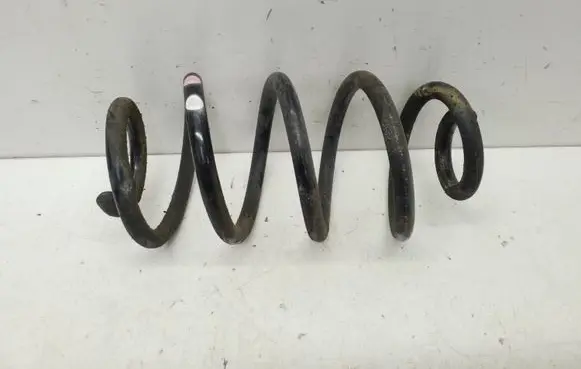Rear coil spring