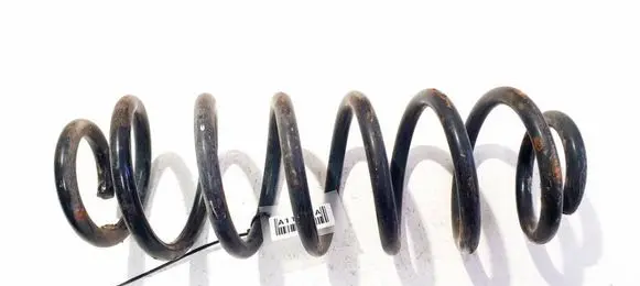 Volkswagen PASSAT B6 Rear coil spring 