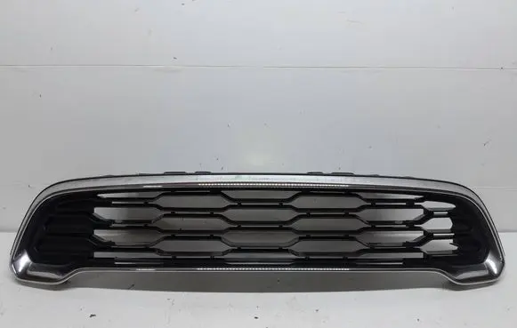 Front bumper upper radiator grill