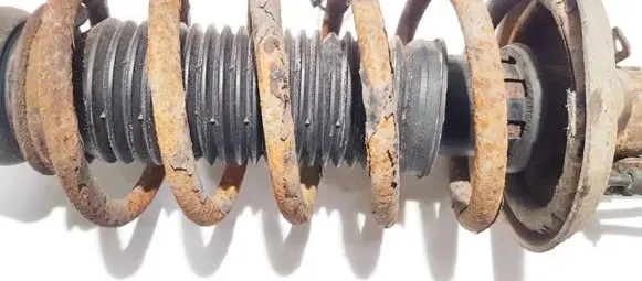 Volkswagen Bora Front coil spring
