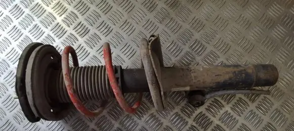 Peugeot 206 Front shock absorber/damper