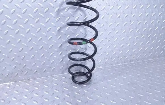 Peugeot 208 Rear coil spring 9828919580