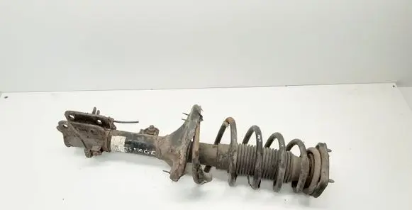 KIA Sportage Rear shock absorber with coil spring 553001F600