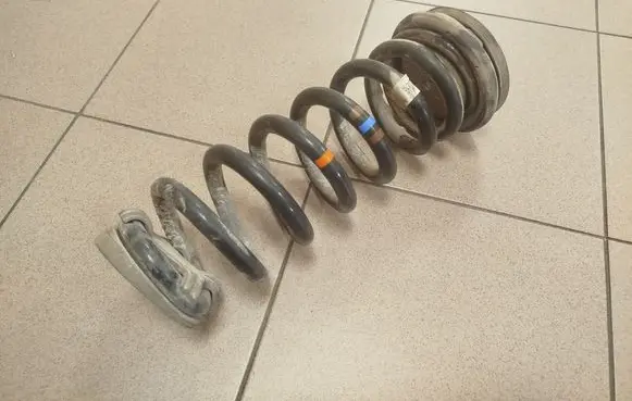 Rear coil spring