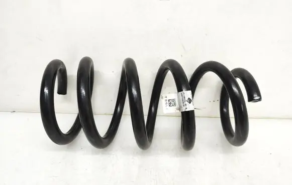 Rear coil spring