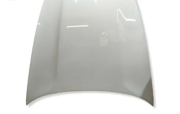 Porsche Panamera (970) Engine bonnet/hood 