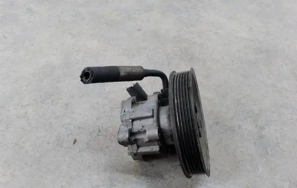 Volkswagen II LT Power steering pump 550493