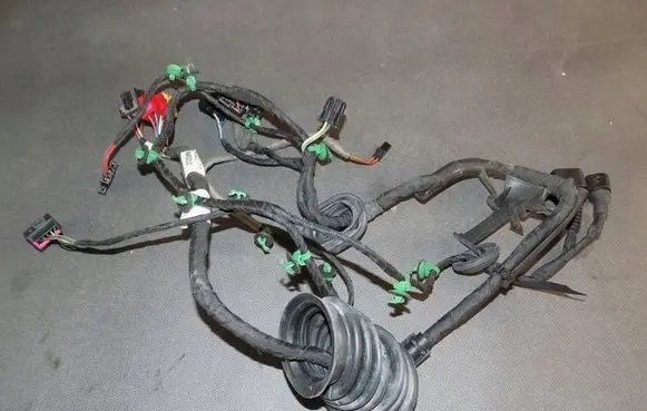 Front door wiring loom