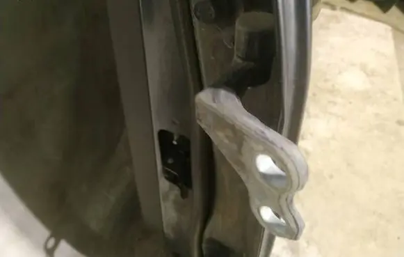 Rear door lower hinge