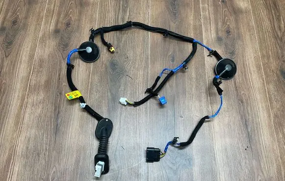 Hyundai Ioniq Rear door wiring loom 91660-G2051