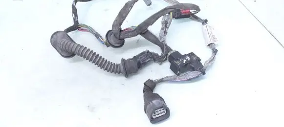 Rear door wiring loom