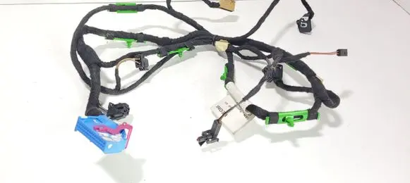 Front door wiring loom