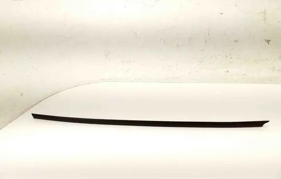 Skoda Scala Door glass trim 657854328