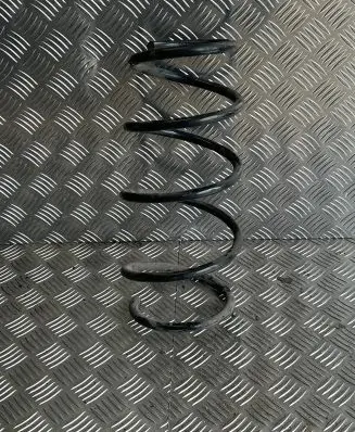 Front coil spring