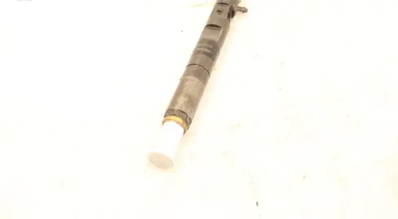 Renault Clio III Fuel injector EJBR05102D