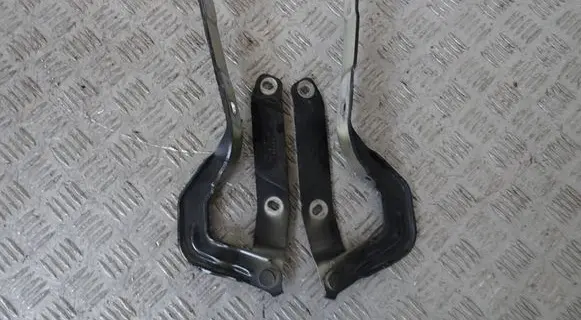 Audi Q4 e-tron Engine bonnet/hood hinges 89A823301
