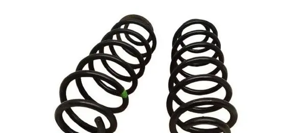 Rear coil spring