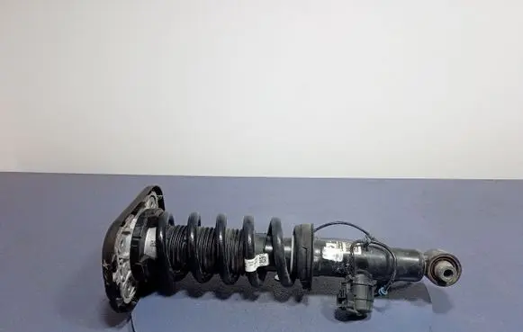 BMW X5 E53 Rear shock absorber/damper 6896442