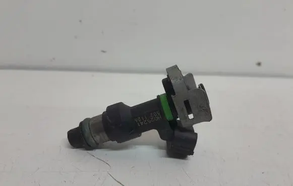 Renault Scenic III - Grand scenic III Fuel injector H025241 5021126