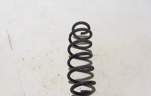 Renault Austral Rear coil spring 550209312R
