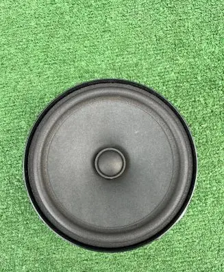 Volkswagen ID.4 Rear door speaker 11A035710