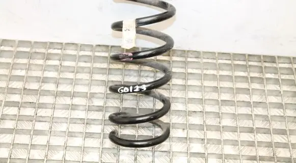 Ford Fusion Rear coil spring DG9C5560GNF