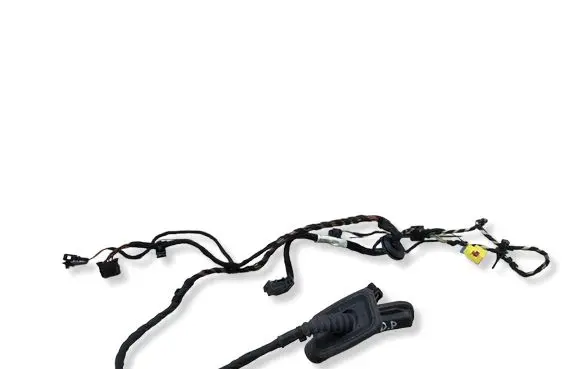 Volkswagen PASSAT CC Front door wiring loom 3C8971121CG TAB0166124