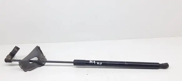 Tailgate/trunk strut/damper