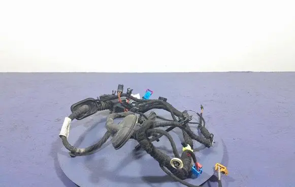 Skoda Superb B5 (3U) Other wiring loom 3V1971120CS